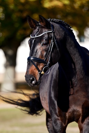 Carlo, Portrait 2021 (c) Peggy Schroeder