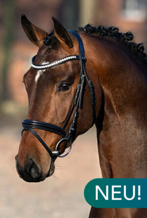 Coeur de Corrido@2x Coeur de Corrido@2x