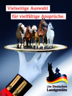 Vielseitige Auswahl für vielfältige Ansprüche