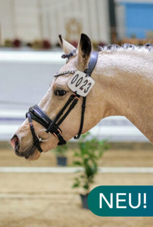 Gustav Glühbier@2x Gustav Glühbier@2x