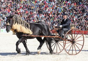 Traberwagen Tlumacov (c) smbusse