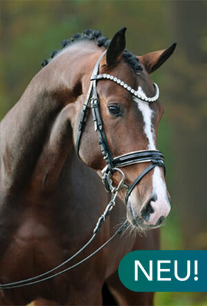 Lord Florencio@2x Lord Florencio@2x