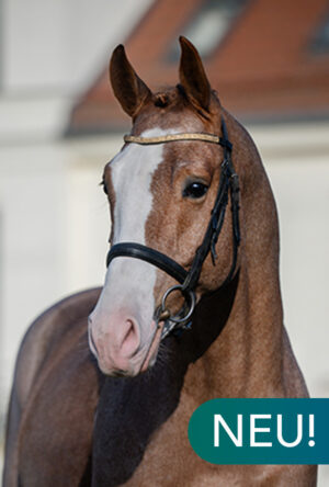 Mister Farbenfroh@2x