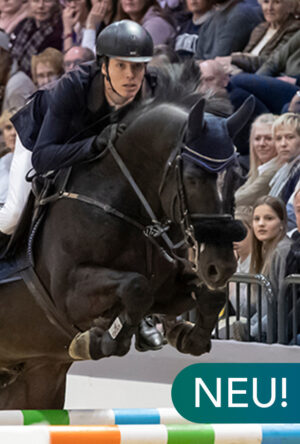 Navarone Z@2x Navarone Z@2x