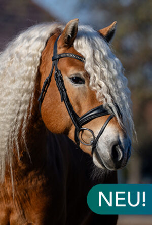 Neustart@2x Neustart@2x