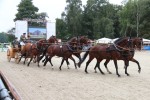 Quadrille_Sechserzuege_Parade2013_web