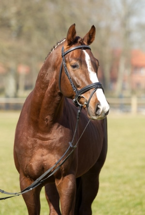 Radetzky