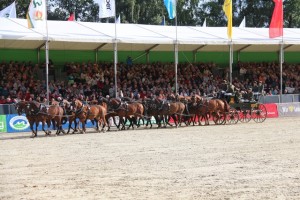 Sechzehnspaenner_Parade2013_web