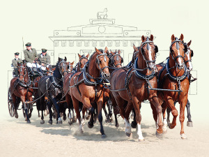 Redefiner Hengstparaden 2015