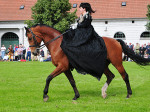 Die Landesreit- und Fahrschule