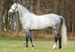 Landbeschäler CEROUSI