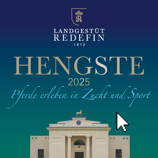 Hengste 2025 - Landgestüt Redefin