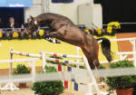 qualify_redefin_p004