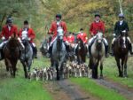 Jagd mit Meute_ (c) Landesjagdverband/ Martens